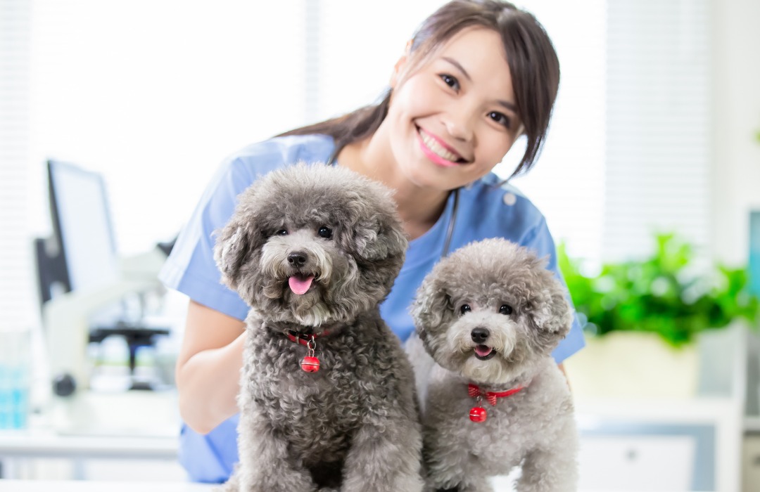 Young female veterinarian and dog looks happy