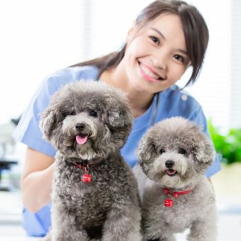 Young female veterinarian and dog looks happy